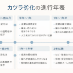 カツラの劣化が時間経過とともに進行する年表図