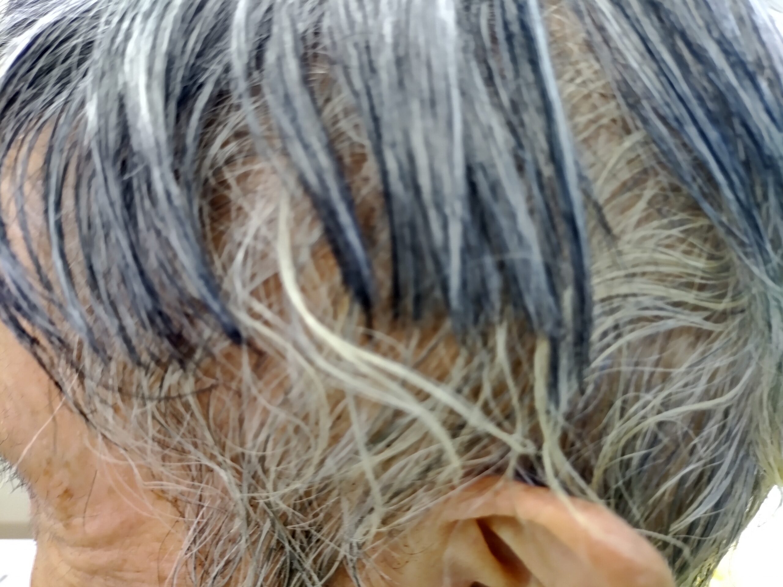 カツラ切りすぎ実例